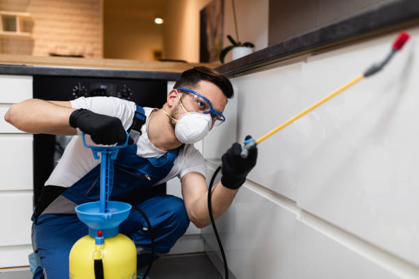 Pest Prevention Services in Fairburn, GA