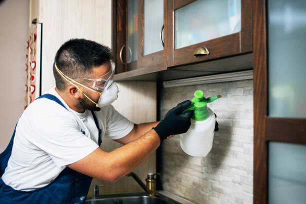 Professional Pest Control in Fairburn, GA