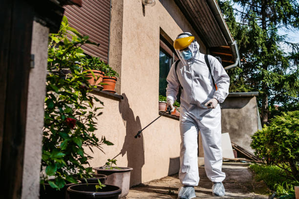 Best Pest Control Near Me  in Fairburn, GA