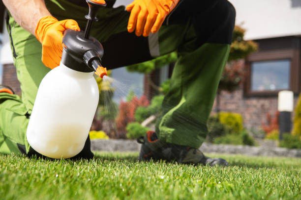 Best Termite Control Services  in Fairburn, GA