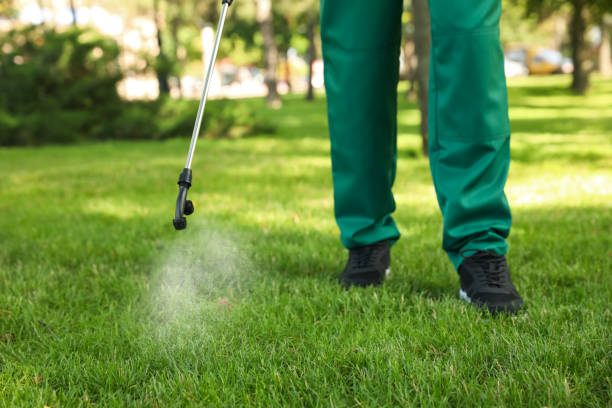Professional Pest Control in Fairburn, GA