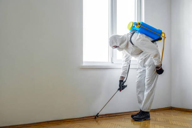 Best Cockroach Control Services  in Fairburn, GA