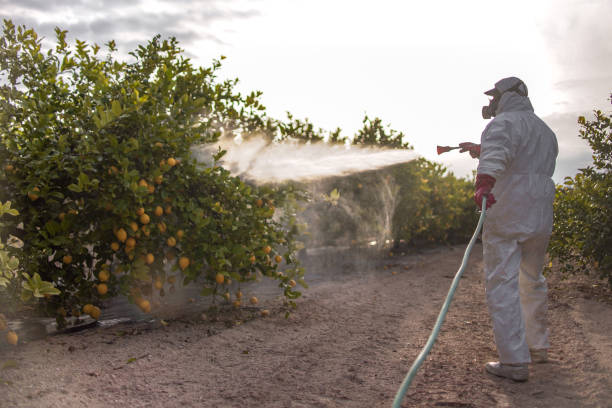 Best Pest Inspection Near Me  in Fairburn, GA
