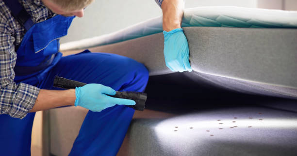 Best Mosquito Control Services  in Fairburn, GA