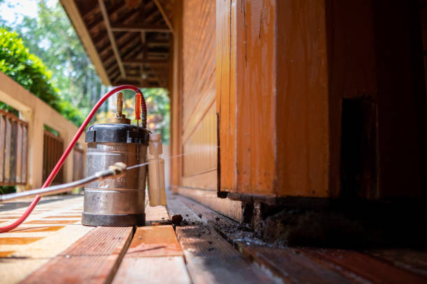 Best Termite Control Services  in Fairburn, GA