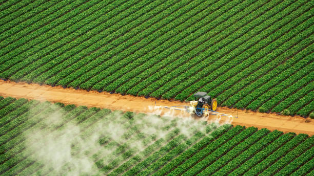 Best Pest Prevention Services  in Fairburn, GA