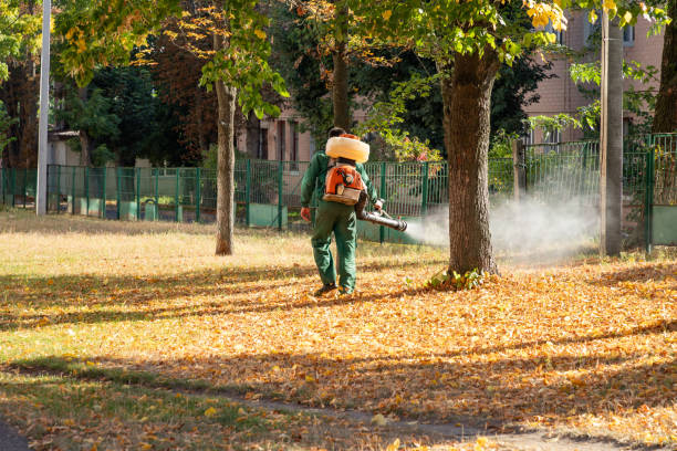 Best Commercial Pest Control Services  in Fairburn, GA