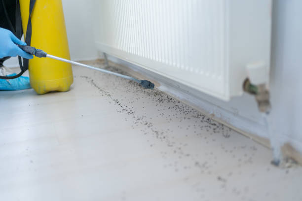 Best Best Pest Control Companies  in Fairburn, GA