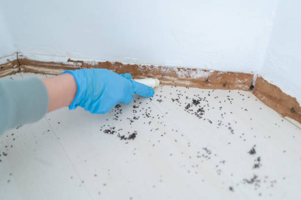Best Residential Pest Control  in Fairburn, GA