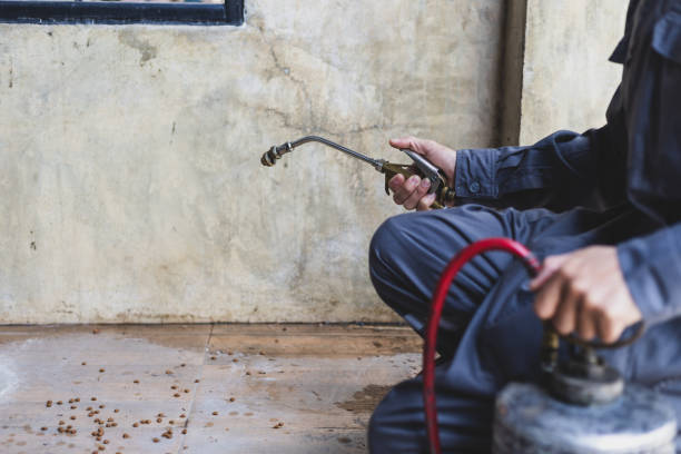 Best Mosquito Control Services  in Fairburn, GA